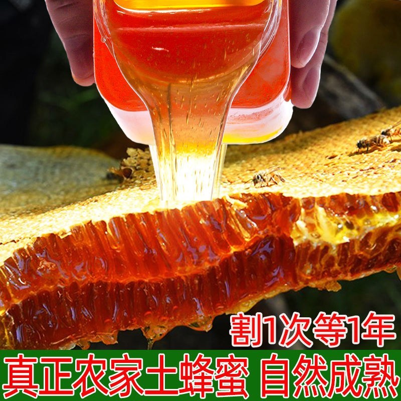 土蜂蜜中华土蜂非意蜂蜜