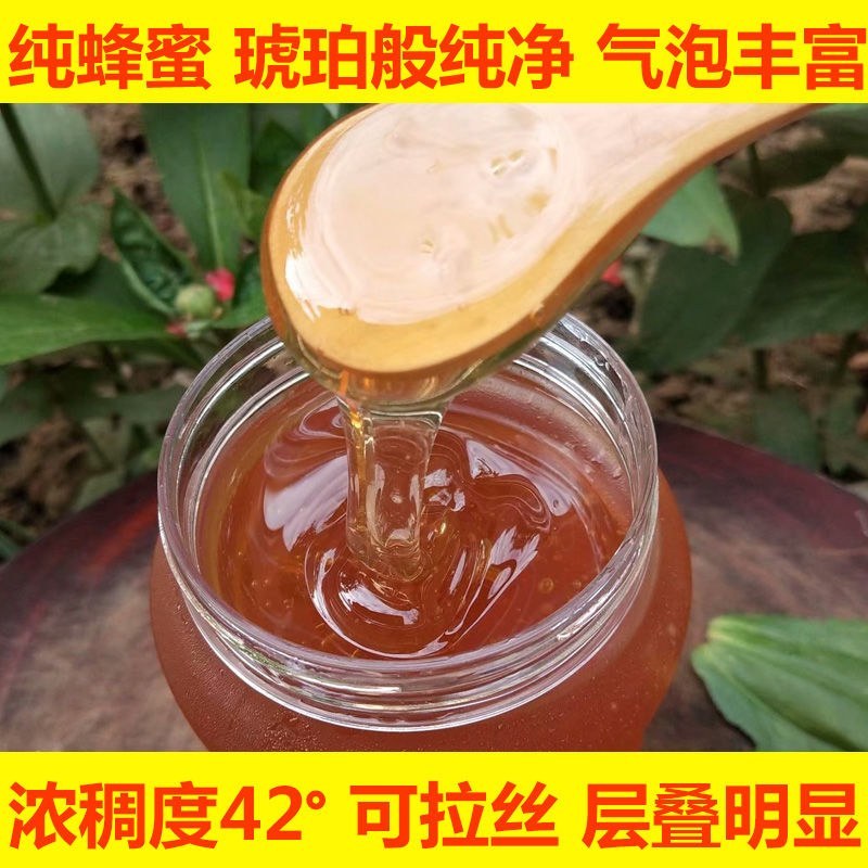 土蜂蜜中华土蜂非意蜂蜜