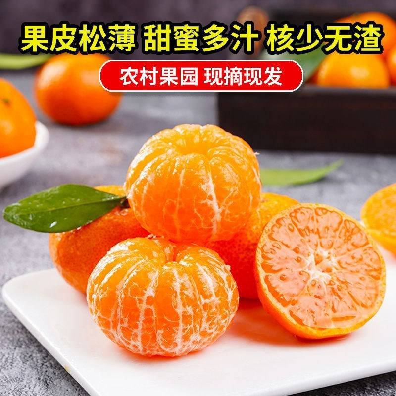 【特级】宜昌精品椪柑产地直销精品包装价格优惠