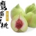 广东鹰嘴桃（大果）一件代发甜度高现摘发货顺丰包邮