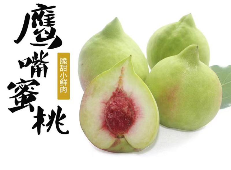 广东鹰嘴桃（大果）一件代发甜度高现摘发货顺丰包邮