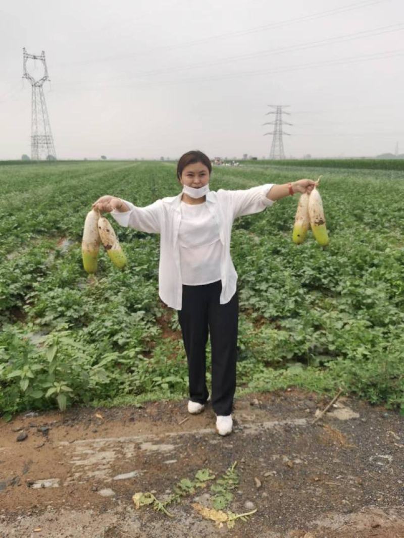 各位老板，有要韩国青的找我价格美丽
