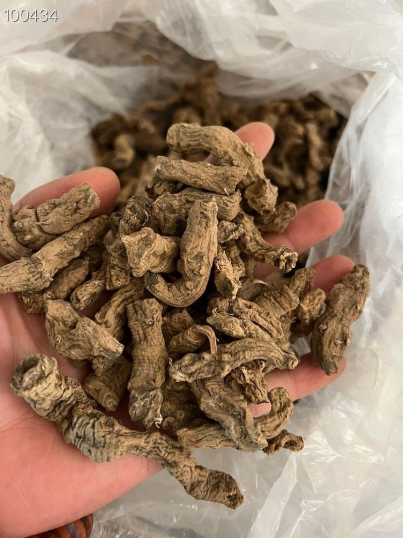 云南三七云南文山三七缅甸野田七500克批发