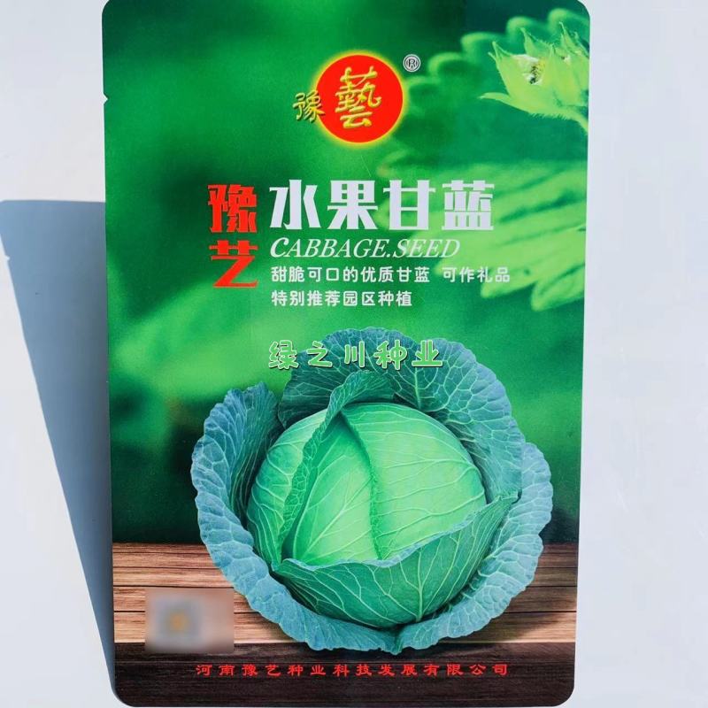 豫艺水果甘蓝种子口感甜脆扁圆形包菜种子莲花白种子扁包菜