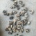 产地小核桃菌，猴脑菌玛卡菌松花菌泡发率高品质好口感脆嫩颜