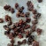 产地小核桃菌，猴脑菌玛卡菌松花菌泡发率高品质好口感脆嫩颜