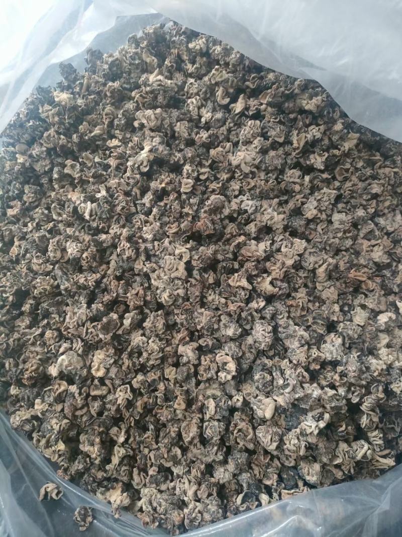 产地小核桃菌，猴脑菌玛卡菌松花菌泡发率高品质好口感脆嫩颜