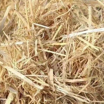 稻草大捆小捆柔丝