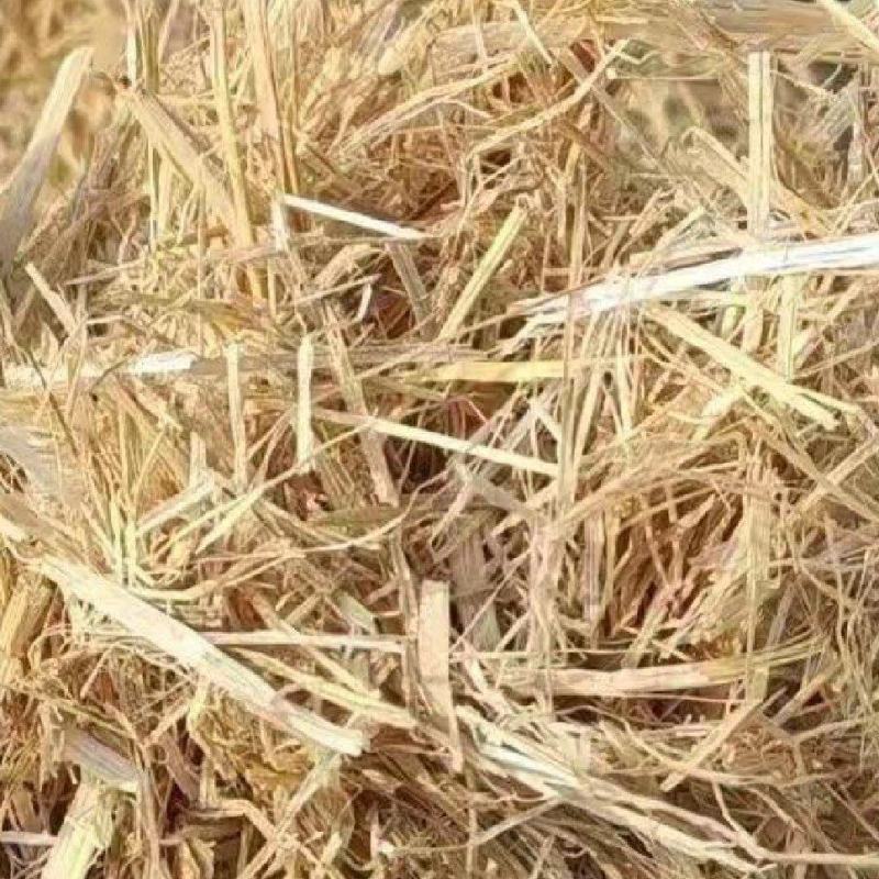 稻草大捆小捆柔丝