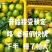 好货不便宜