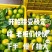 好货不便宜