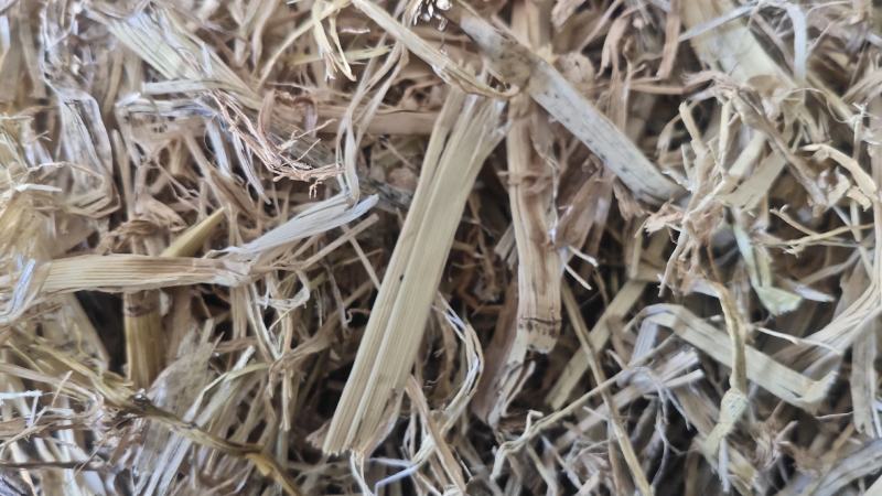 稻草大捆小捆柔丝