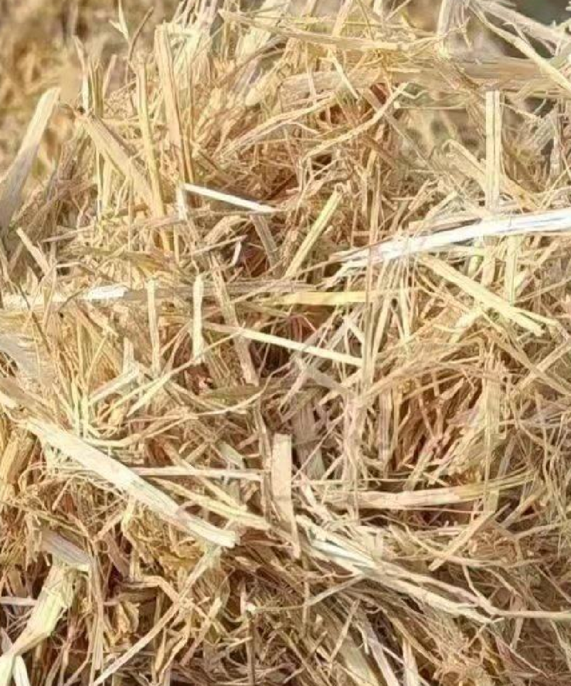 稻草大捆小捆柔丝