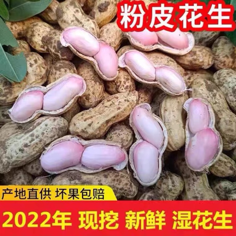 当地新鲜花生，量大从优，没有中间商