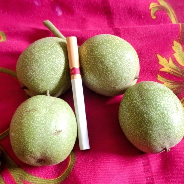 青皮核桃