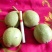 青皮核桃