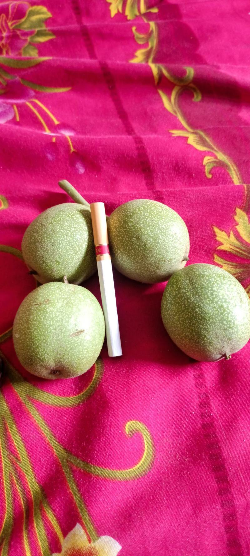 青皮核桃