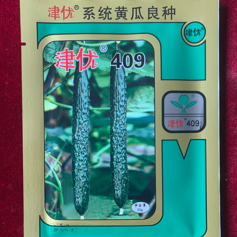 津优409：露地黄瓜、瓜条亮绿、把短条直、抗病性强