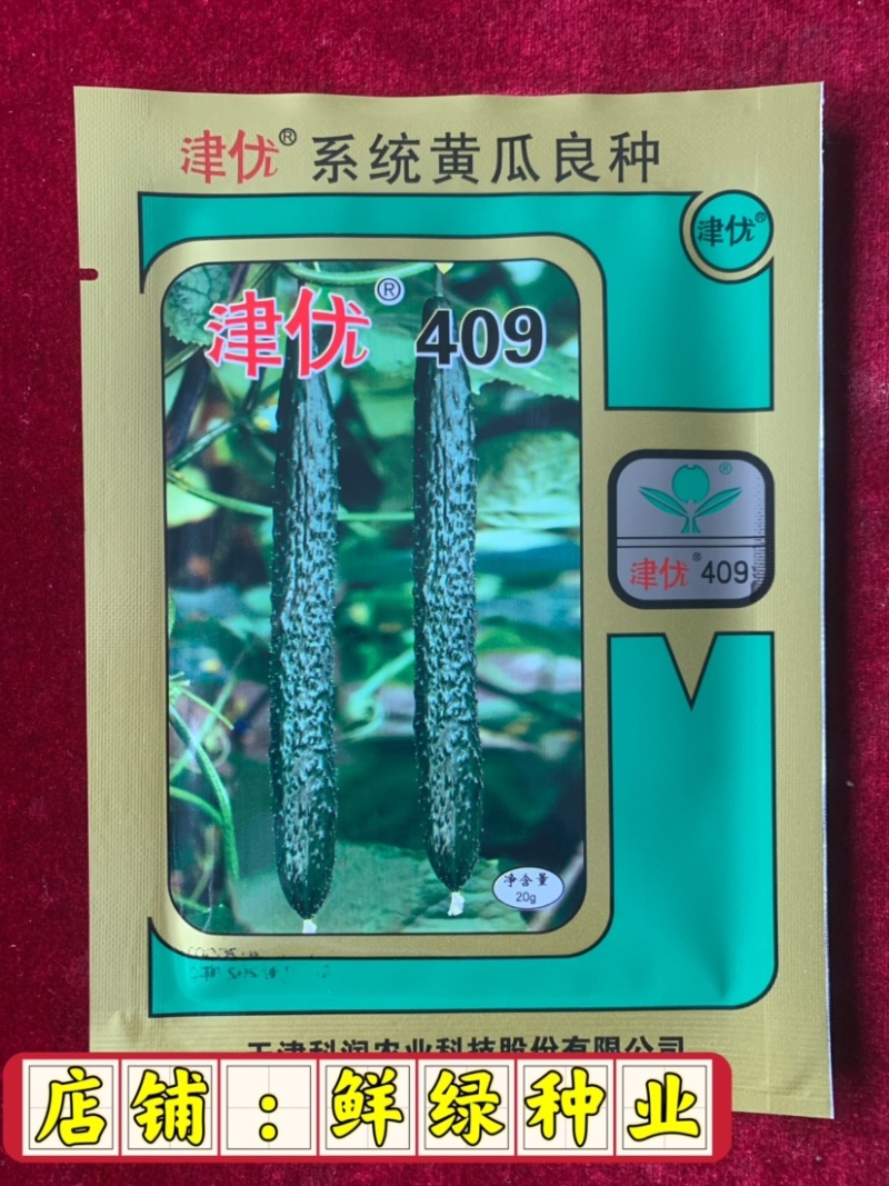 津优409：露地黄瓜、瓜条亮绿、把短条直、抗病性强