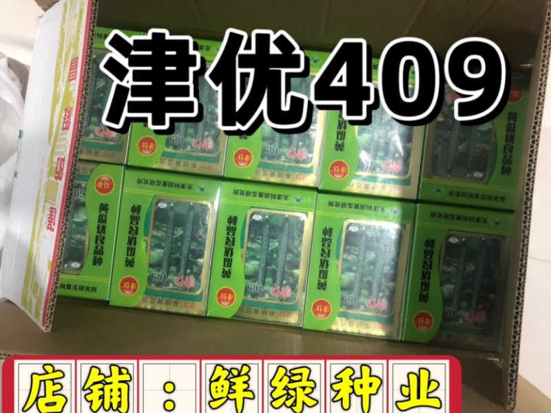 津优409：露地黄瓜、瓜条亮绿、把短条直、抗病性强