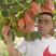 四川红心猕猴桃，红阳，东红，各种规格齐全，专业代办团队