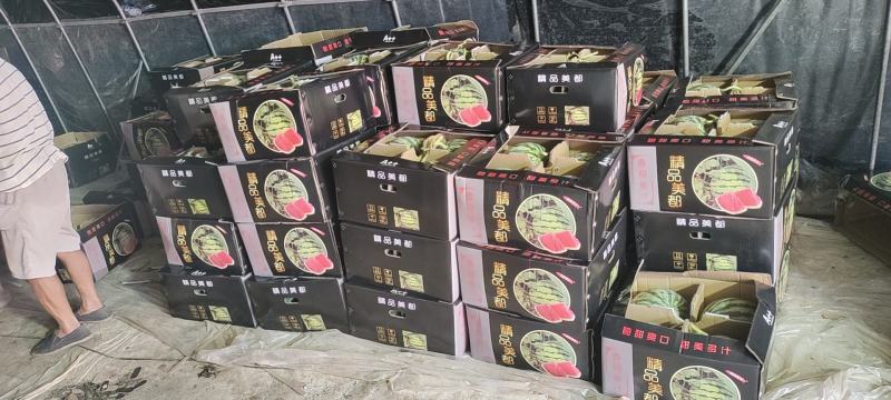 大棚美都西瓜正宗麒麟