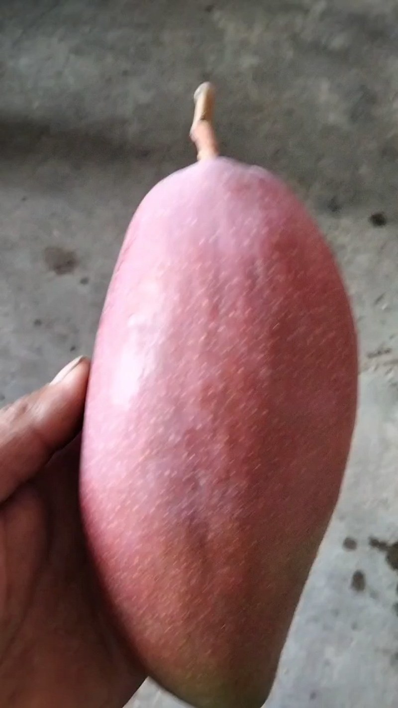 漂亮的妞