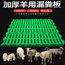 加厚养羊专用羊舍羊场羊床漏粪板塑料接粪板大型羊用仔猪保育