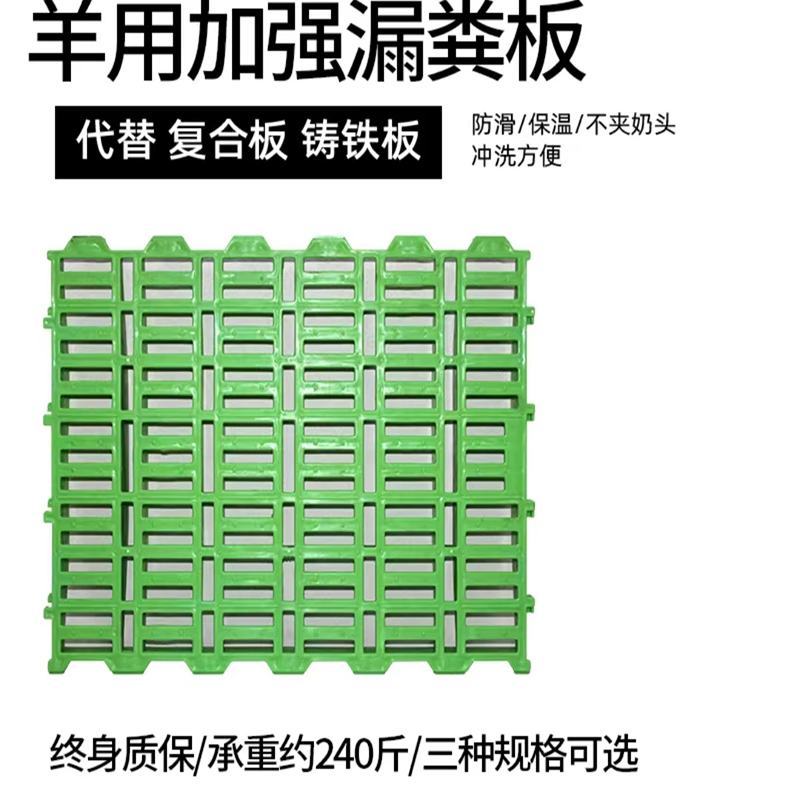 加厚养羊专用羊舍羊场羊床漏粪板塑料接粪板大型羊用仔猪保育