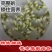 芥菜干咸菜干农家自制晒干梅菜扣肉散装500g干货湖南福建