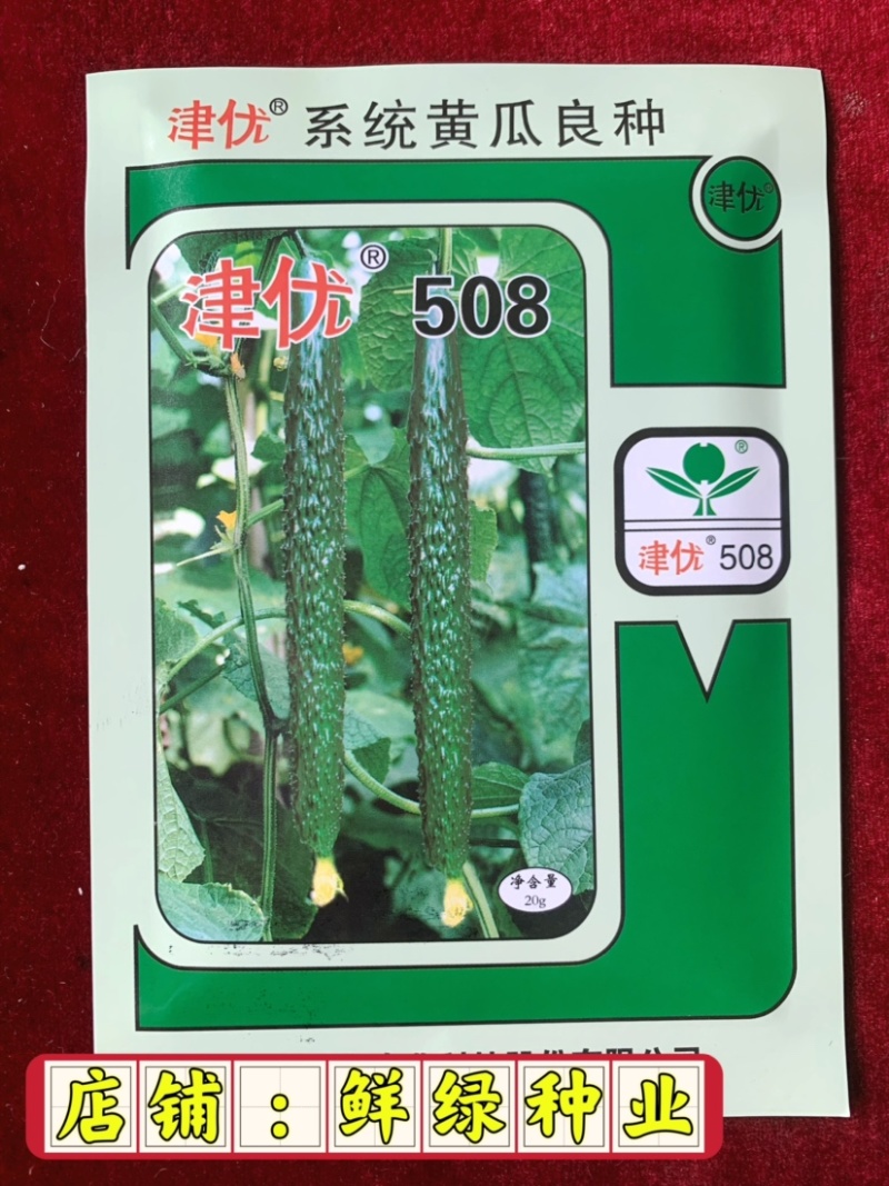 津优508：耐热性好、瓜色深绿、口感脆甜、丰产潜力大