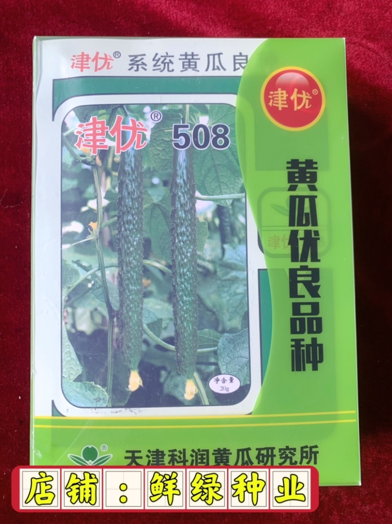 津优508：耐热性好、瓜色深绿、口感脆甜、丰产潜力大