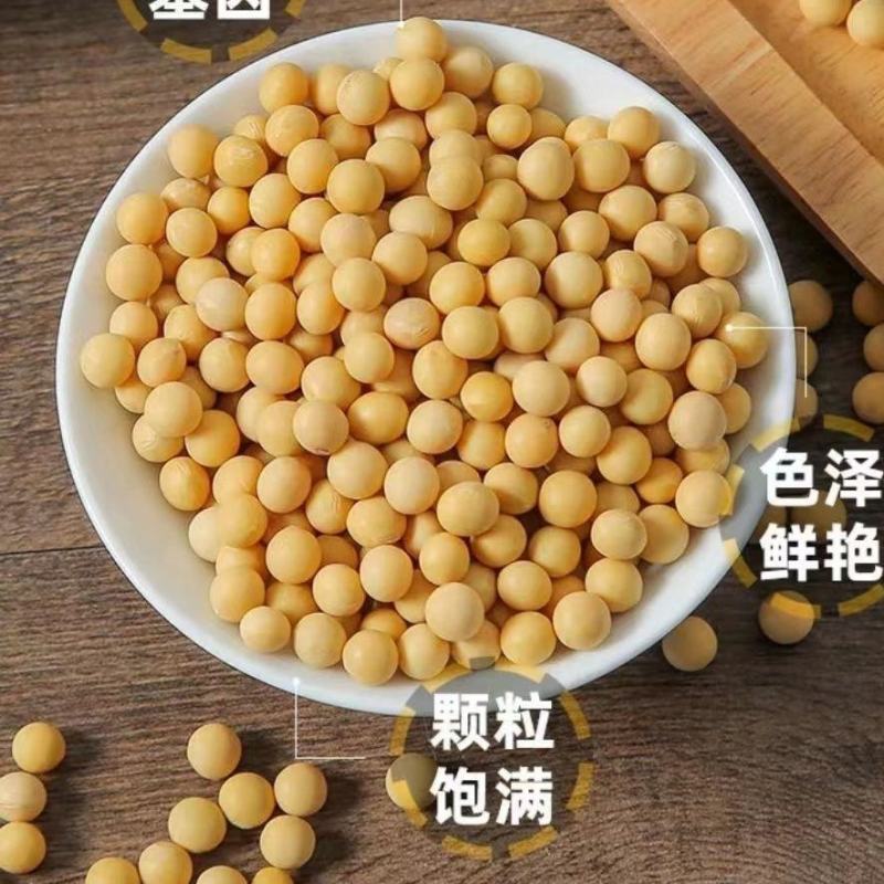 去皮黄豆非转基因真正脱皮黄豆做豆腐豆豉酱豆打豆浆批发直