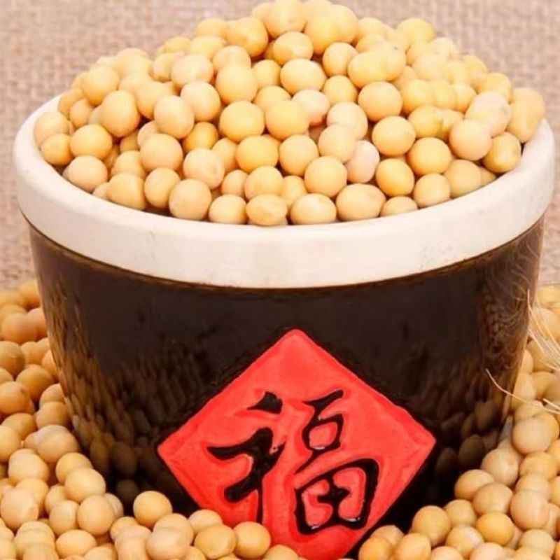 去皮黄豆非转基因真正脱皮黄豆做豆腐豆豉酱豆打豆浆批发直