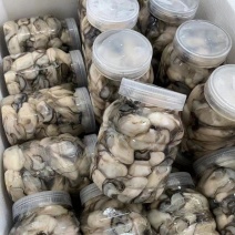 潮州饶平汫洲生蚝肉现开现发！全国一件起发