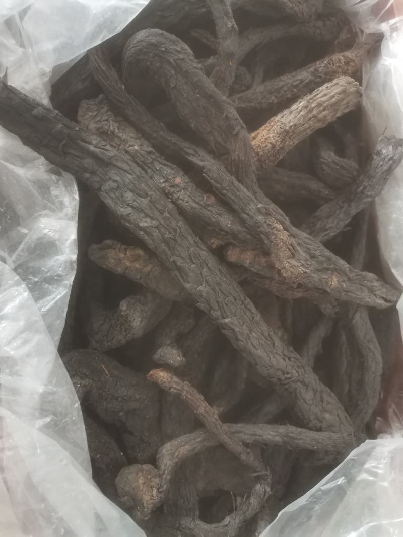 肉苁蓉可大量批发零售可视频看货，诚信为本质量保证