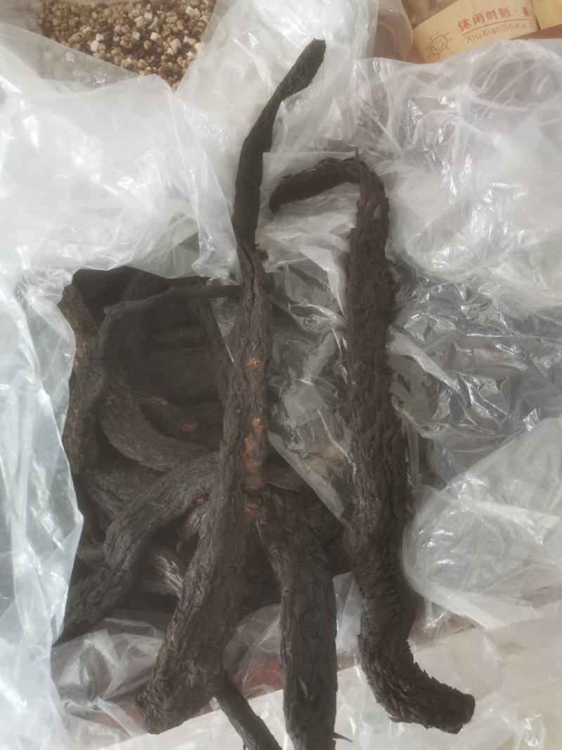 肉苁蓉可大量批发零售可视频看货，诚信为本质量保证