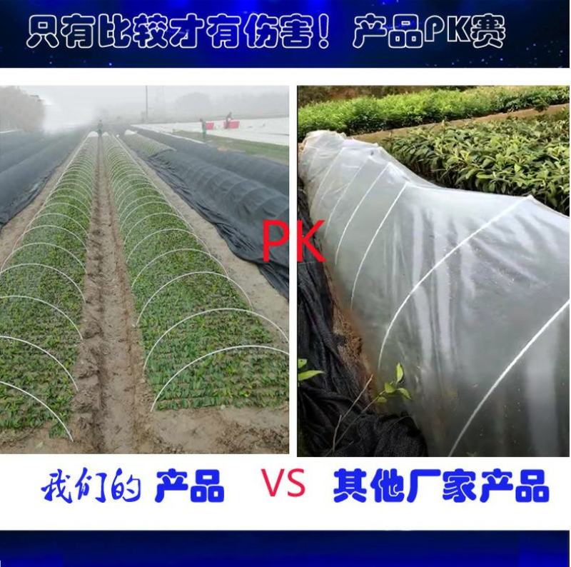 葡萄避雨棚育秧保温棚种植育苗玻纤棒农用小拱棚支架拱杆骨架