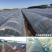 葡萄避雨棚育秧保温棚种植育苗玻纤棒农用小拱棚支架拱杆骨架