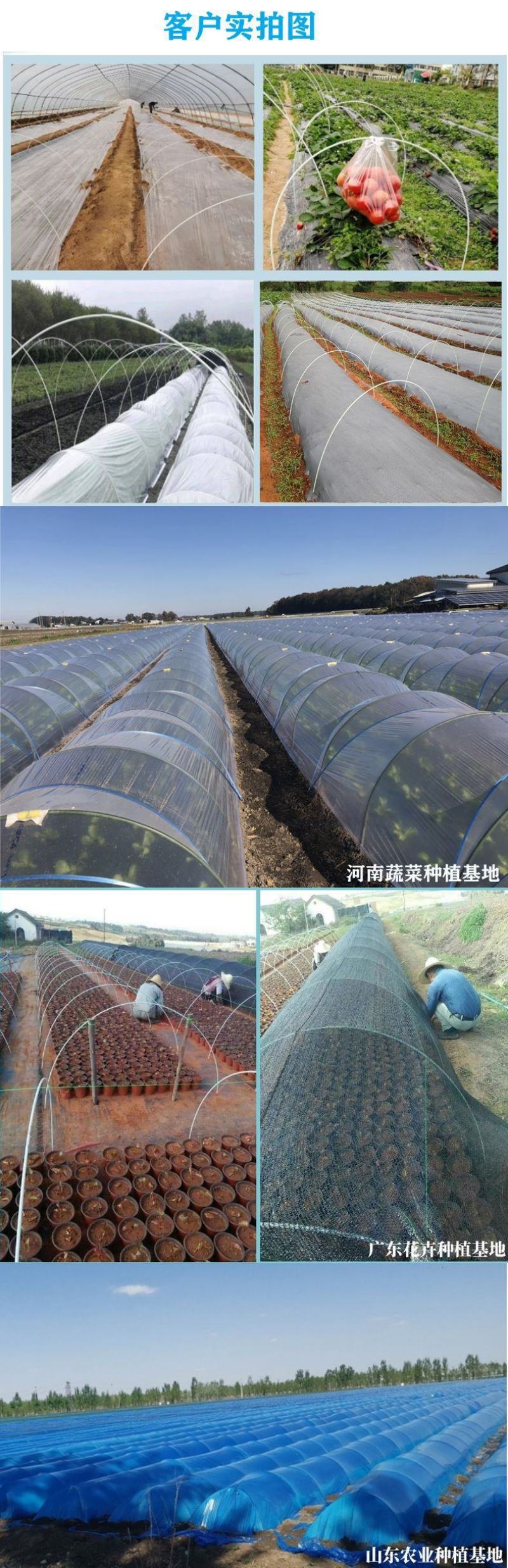 葡萄避雨棚育秧保温棚种植育苗玻纤棒农用小拱棚支架拱杆骨架