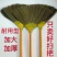 扫地扫把家用软毛天然芒草扫把农村笤帚不粘头发扫地神器扫帚