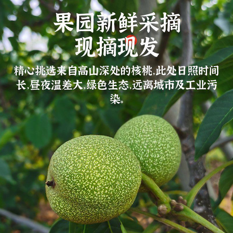 2023年青皮核桃大量上市