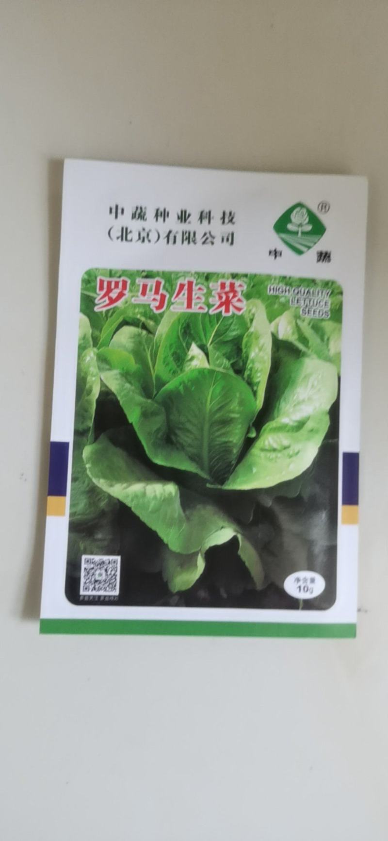 罗马耐抽苔生菜王种子种籽意大利秋冬季菜四季籽