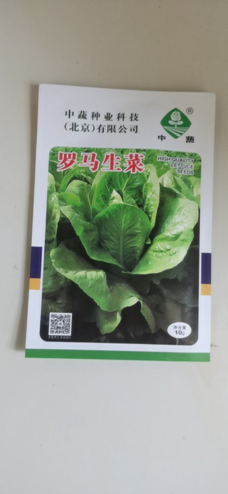 罗马耐抽苔生菜王种子种籽意大利秋冬季菜四季籽