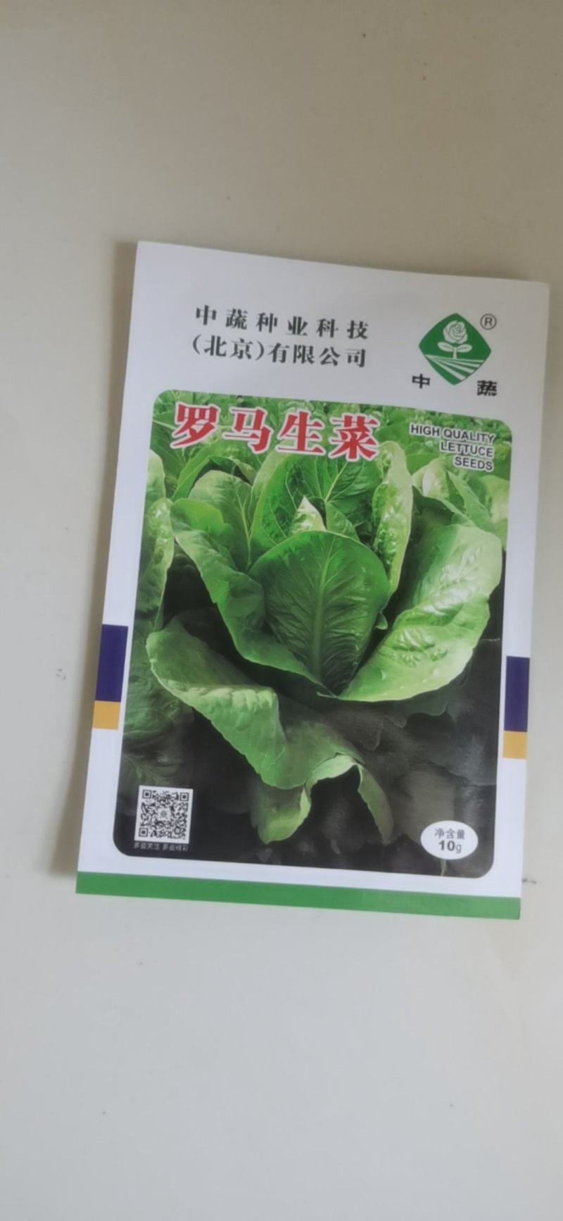 罗马耐抽苔生菜王种子种籽意大利秋冬季菜四季籽