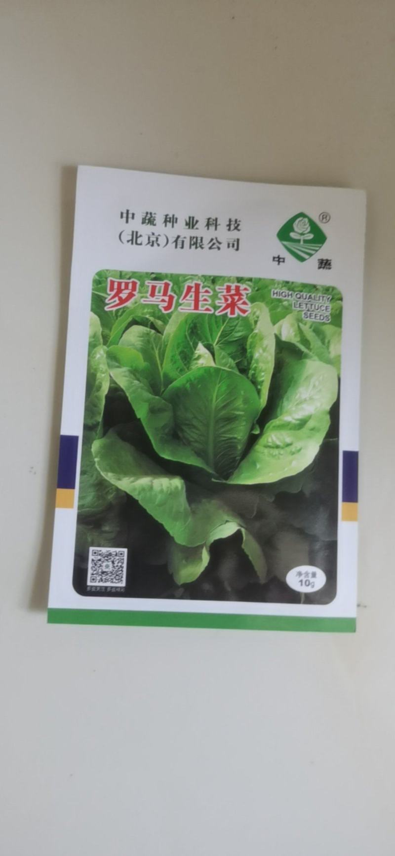 罗马耐抽苔生菜王种子种籽意大利秋冬季菜四季籽