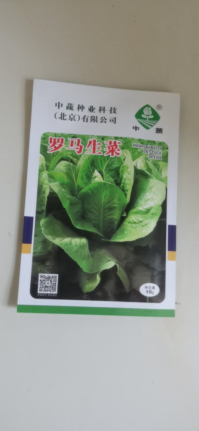 罗马耐抽苔生菜王种子种籽意大利秋冬季菜四季籽