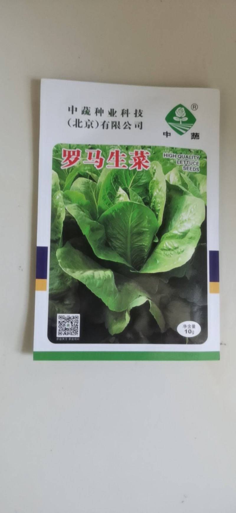罗马耐抽苔生菜王种子种籽意大利秋冬季菜四季籽