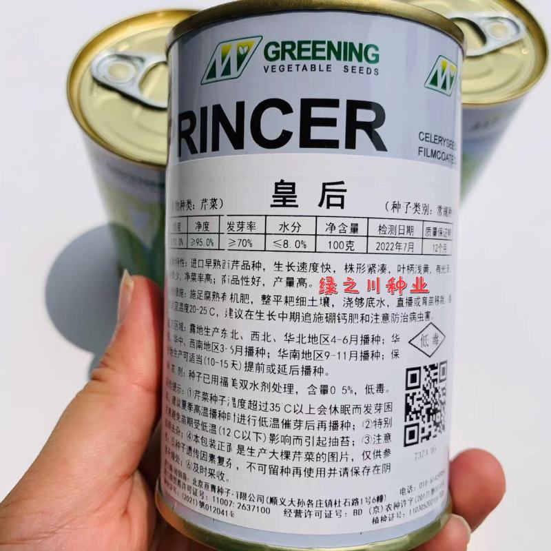 法国纯进口早熟皇后西芹种子进口芹菜种子