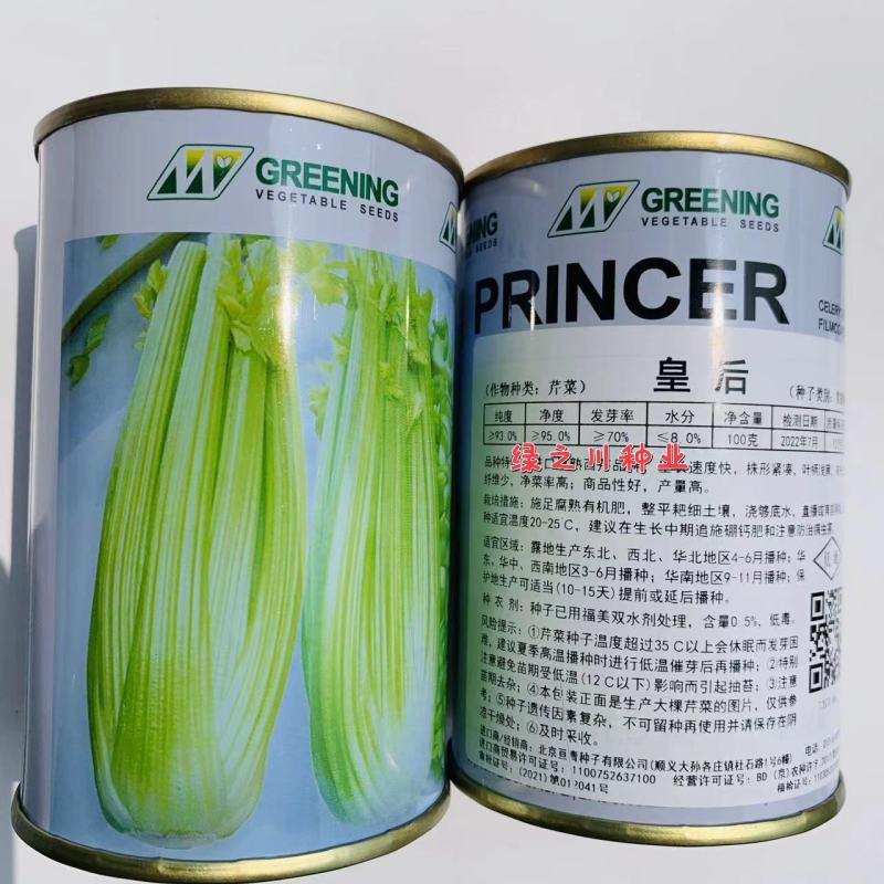 皇后西芹种子大芹菜种子法国皇后芹菜种子四季高产实心